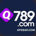 Q789 Game